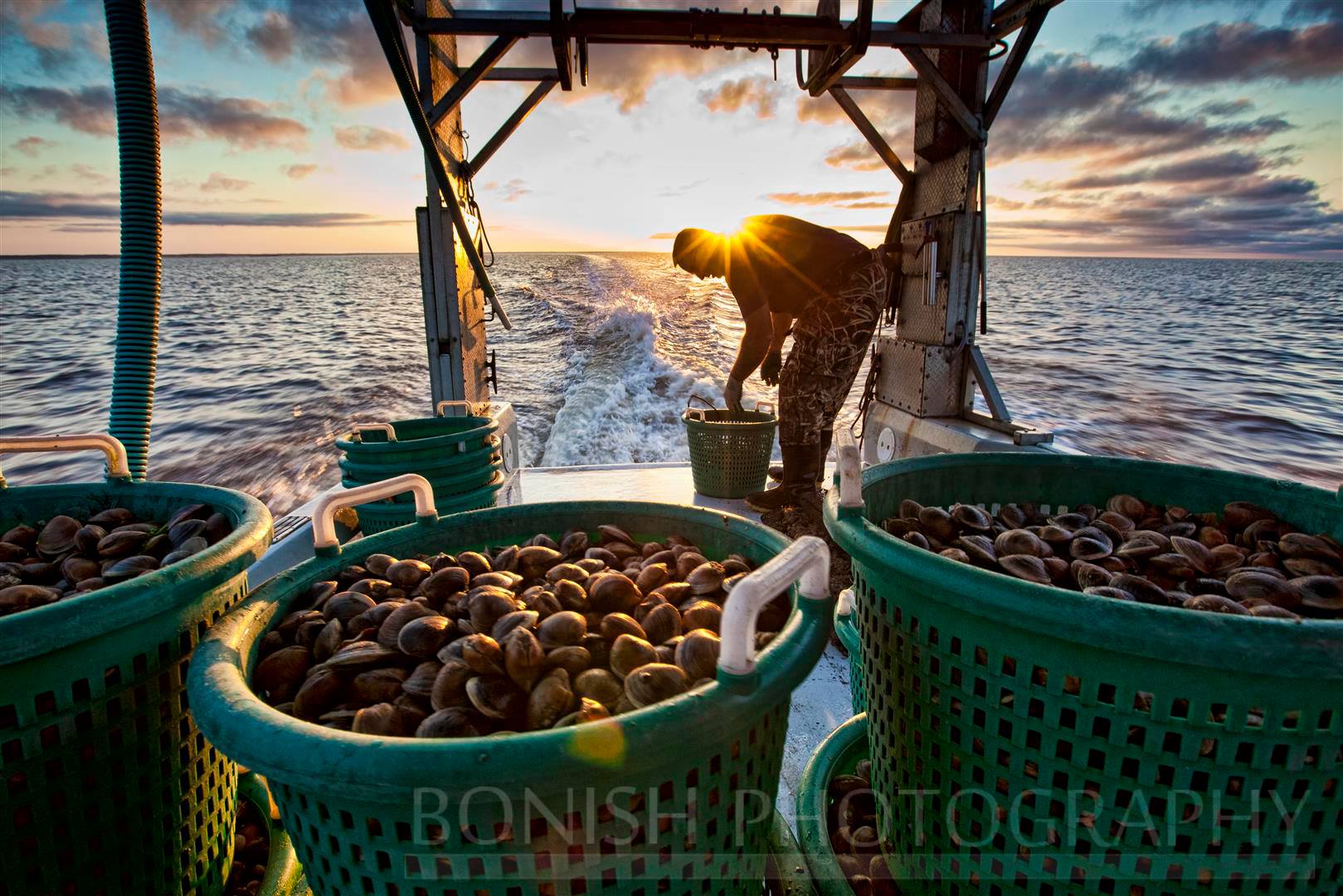 Cedar Key Seafarms - Photo by Bonish Photography